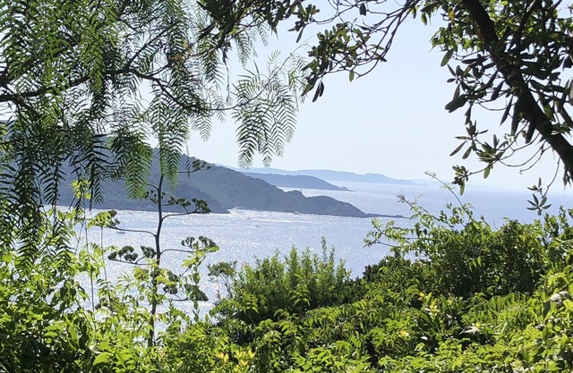 Villa on an island paradise. Location/rental/Miete villa Ile du Levant