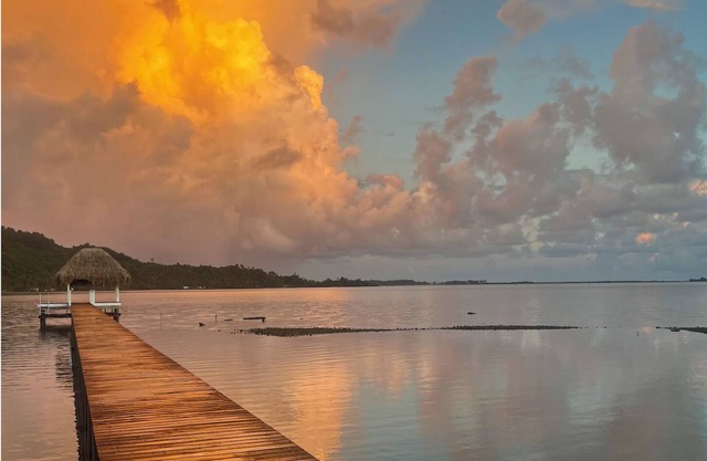 Villa PAORIE by the sea in Bora Bora House and garden with private pontoon.