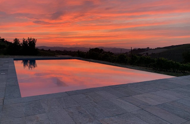 Villa with vineyards, infinity pool, views of an UNESCO castle and the alps.