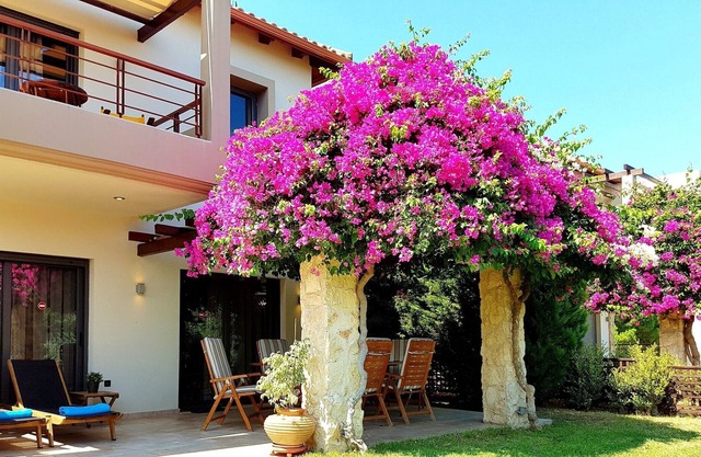 Villa Xenny (VC Properties)