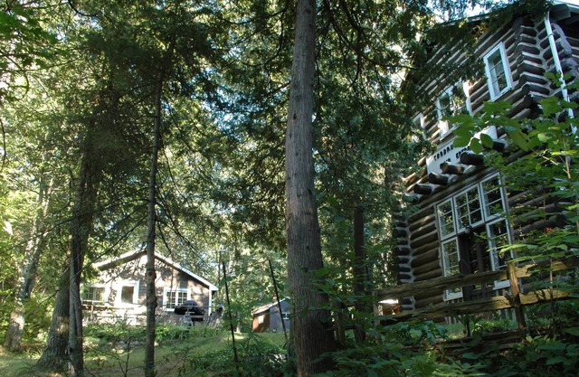 walk to private beach across the street -2BR Cozy Forest Cabin -amazing sunsets
