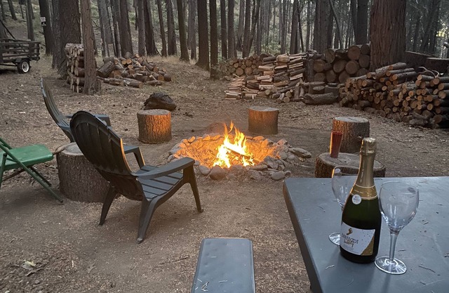 Weekend Getaway Relax & Recharge 5 acres Nature Retreat & Dog Heaven!