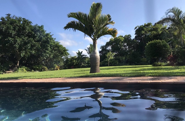 Welcome to Paradise