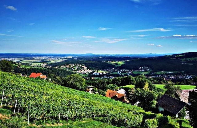 WIEDNERMICHL - Urlaub in den Weinbergen