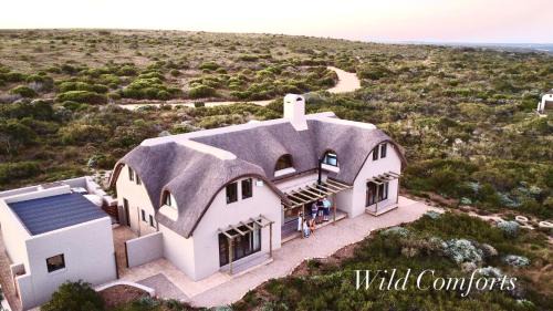 Wild Comforts at Springerbaai