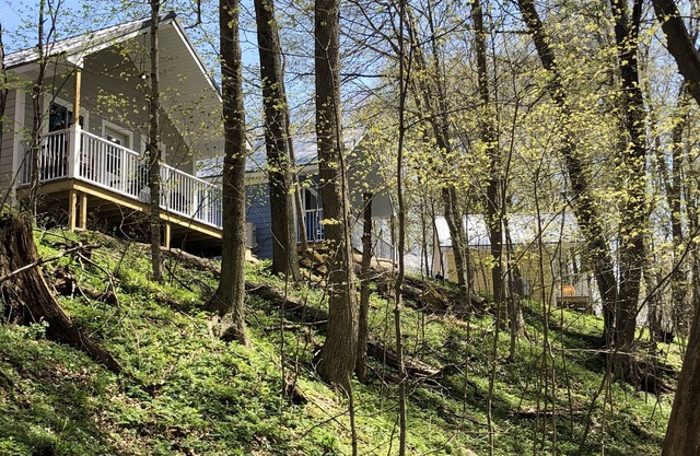 Winding Creek Cabins