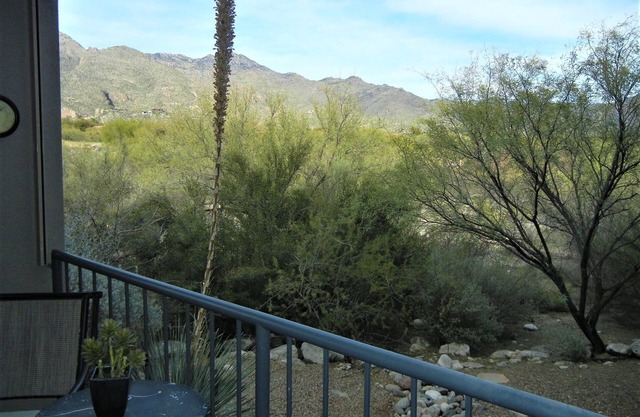 Windows to Catalina Mountains inside-out. Private patio to enjoy Tucson charm