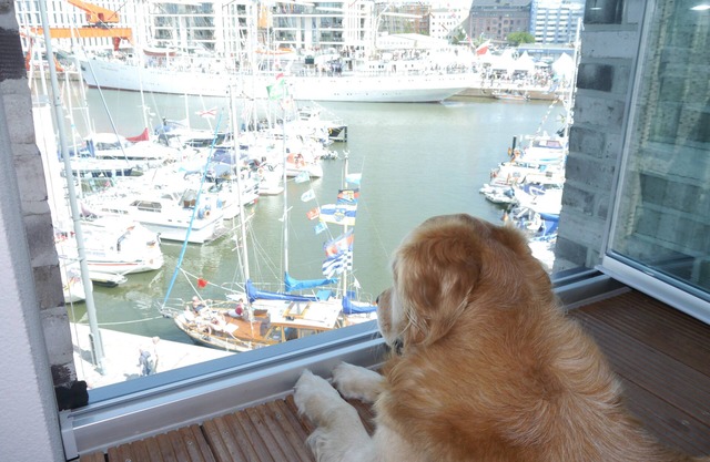 Wonderful views, wonderful and direct waterfront location in the middle of the Havenwelten