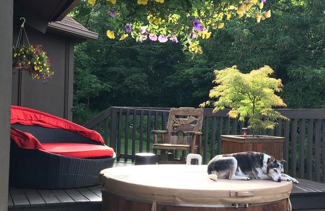 Woodland home on 70 acres of private land, close to wineries, hiking, and lakes