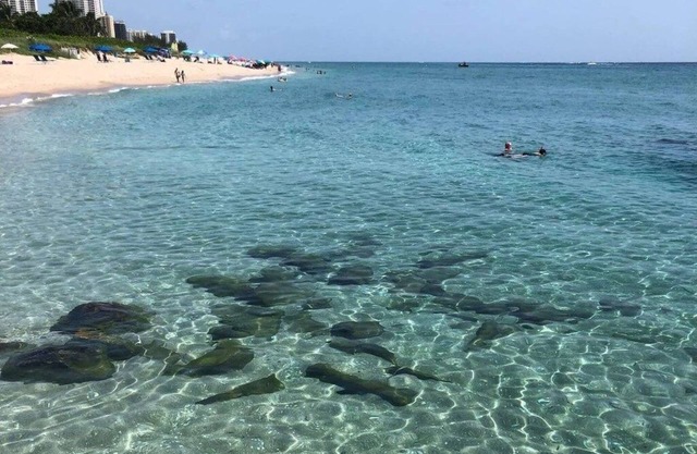 WoW! Stunning 1 BR * Prime Singer Island