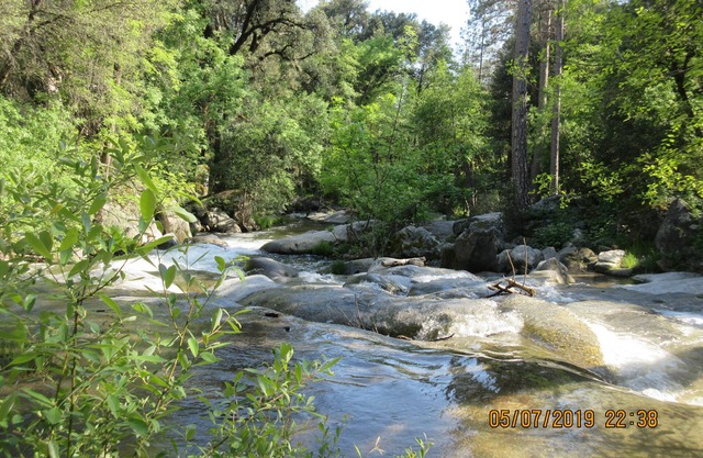 Yosemite Southgate Waterfront Cabin 3 Bdrm Bass Lake Oakhurst Spa pets Specials!