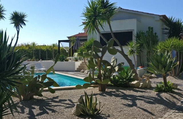 Yuccas House