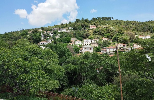 Zina's Cottage in Afetes