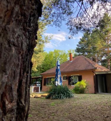 Banatski Karlovac House | Šumska kuća Juga Kovačević