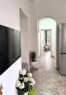 Livadi Apartment | Μιμόζα