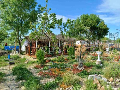 Pomorie Other | Къмпинг Европа Юг