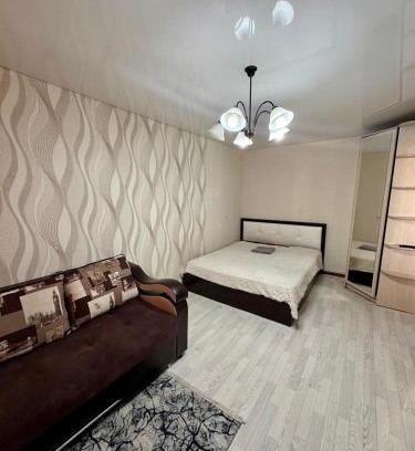 Karagandy Apartment | УЮТНАЯ КВАРТИРА В ЦЕНТРе