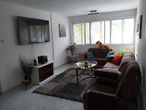 Kiryat Bialik Apartment | דירת 80 מ"ר למשפחה או זוג
