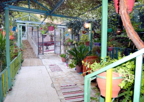 Jerash Apartment | بيت الطبيعة nature house