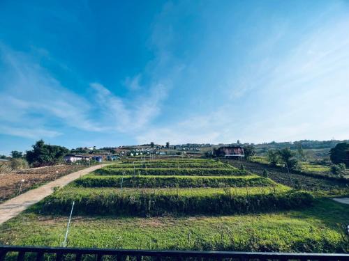Lom Kao House | ไร่รักดอย ภูทับเบิก