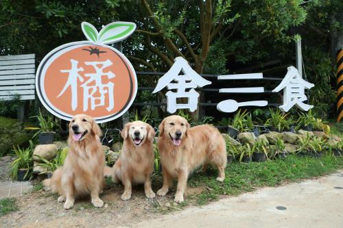 Zhuolan Other | 橘舍三食OrangeFarmerlife