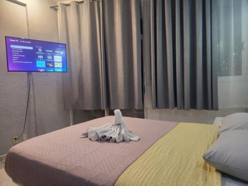 Lazaro Cardenas Apartment | 1 BR APT with AC , TV , wi-fi near DT and beach