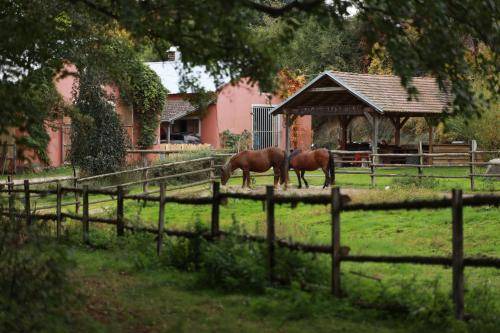 Lisov House | 12 m² Farmhouse ∙ 2 guests
