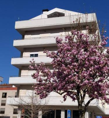 Lousa Bed & Breakfast | 120 m² Bed and breakfast ∙ 4 guests