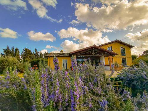 Frascati House | 13 m² Farmhouse ∙ 5 guests