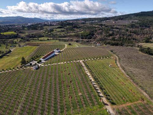 Covilha House | 13 m² Farmhouse ∙ 5 guests