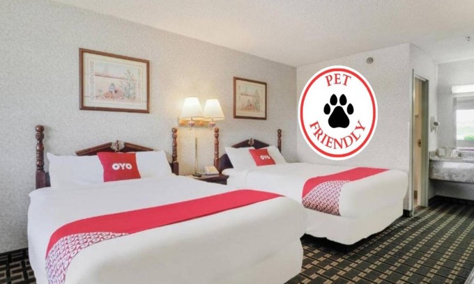 Erick Hotel | 14 m² Hotel ∙ 127 guests