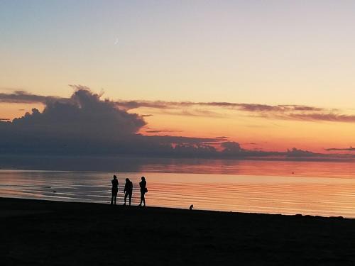 Zolitude Apartment | 15 minutes from the Beach and city Center 7 minutes from the airport