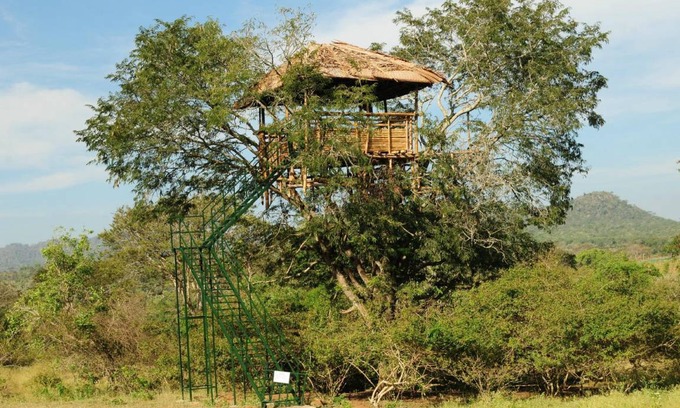 Masinagudi House | 23 m² Farmhouse ∙ 10 guests