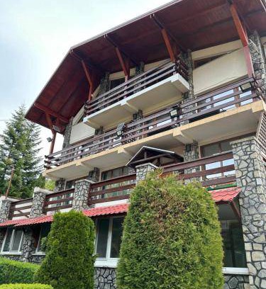 Busteni Bed & Breakfast | 249 m² Bed and breakfast ∙ 6 bedrooms ∙ 12 guests