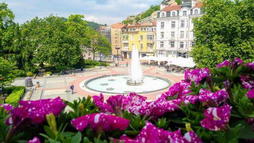 Plovdiv Center Bed & Breakfast | 25 m² Bed and breakfast ∙ 3 guests