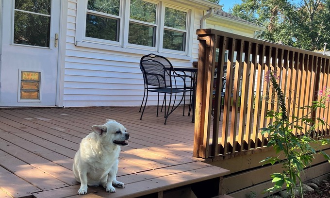 Easley House | 3 BR house convenient Clemson Greenville Silos. Fenced yard-Deck. Dog friendly