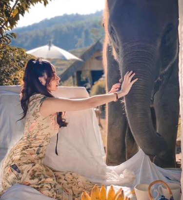 Mae Wang House | 3 Pok Maewang jinxiang Gold elephant park