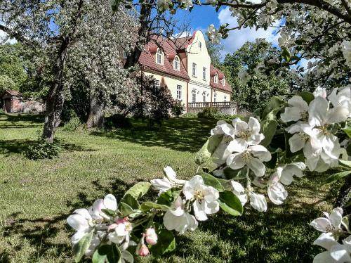 Laza Bed & Breakfast | 30 m² Bed and breakfast ∙ 2 guests
