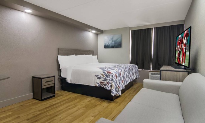 North Aurora Hotel | 30 m² Hotel ∙ 4 guests