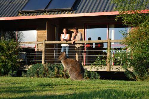 Hermival-les-Vaux Other | 36 m² Tent ∙ 6 guests