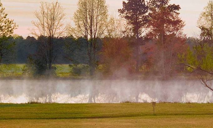 Orangeburg House | 3BR House & Pond View. Quiet Area. Dining & Shopping 2 min Drive. SCSU 10 min.