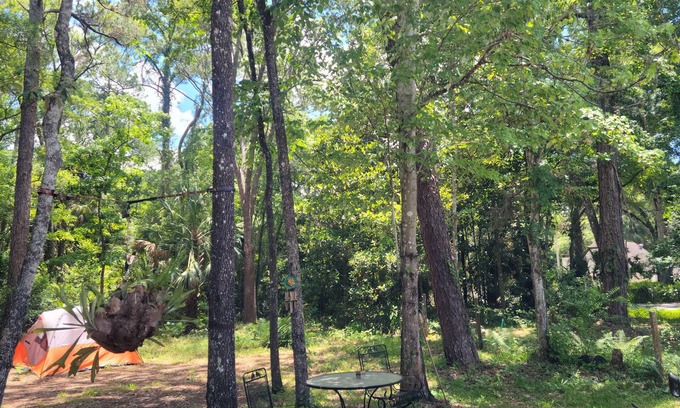Homosassa House | 4.5 MILES TO MACRAES BOAT RAMP! Spacious with plenty of room for boats or RVs.