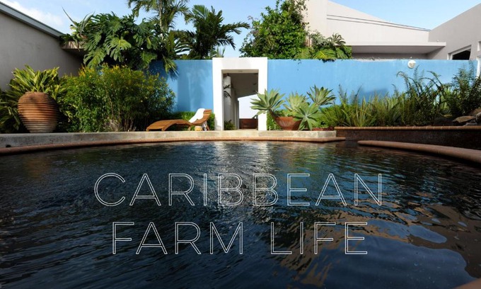 Llanos Tuna Bed & Breakfast | 4 Casitas