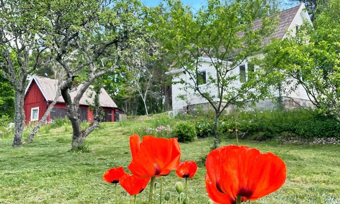 Asarum House | 4 person holiday home in ASARUM