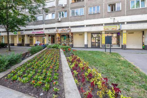 Obuda Apartment | 40 m² Apartment ∙ 1 bedroom ∙ 2 guests