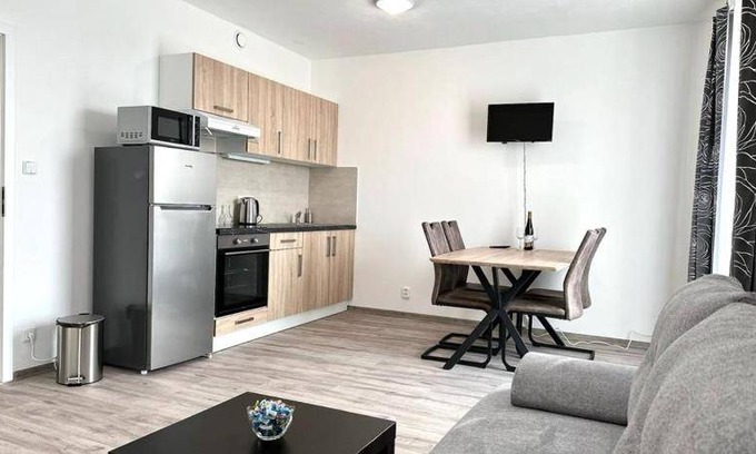 Plzen Apartment | 43 m² Apartment ∙ 1 bedroom ∙ 4 guests
