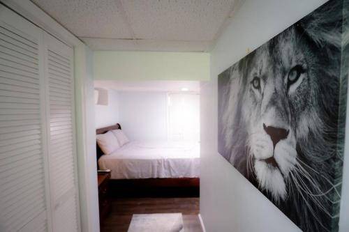Mount Pleasant Apartment | 48 m² Apartment ∙ 1 bedroom ∙ 2 guests