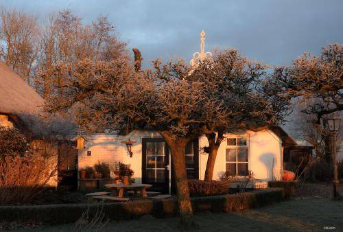 Bollingawier Bed & Breakfast | 48 m² Bed and breakfast ∙ 2 guests