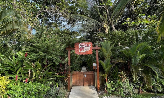 Carenero Island Apartment | 5 min Walk to Surf: Private 2BR/1BA + Ocean & Jungle Views
