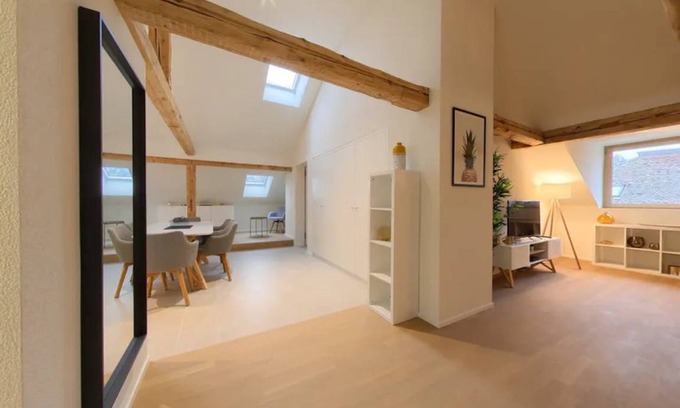 Neuchatel Apartment | 50 m² Apartment ∙ 1 bedroom ∙ 3 guests